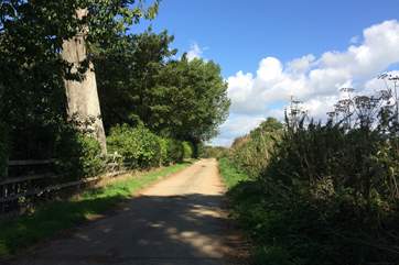 There are many local countryside walks for you to enjoy, with or without your dog.