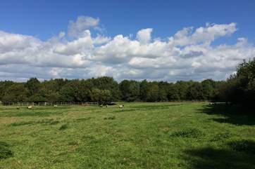 The property is surrounded by farmland.