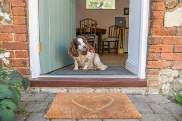 Your four-legged friend is very welcome here.