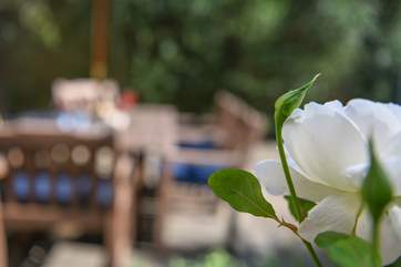 The private patio is peaceful and well manicured, the perfect spot for some 'me time'.