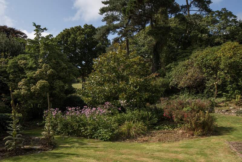 Your four-legged friends will be delighted at the thought of exploring these beautiful gardens.