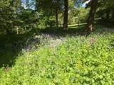 These delightful woods are a short walk from Cider Barn, adjacent to the East Devon Way.