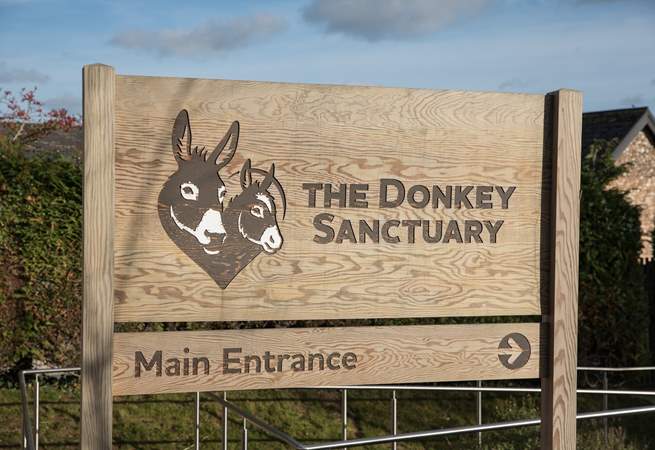 The Donkey Sanctuary is a short drive from Cider Barn, with free entry you can meet over 100 rescued Donkeys and Mules.