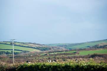 Whilst there are sea views to enjoy at the back of Ingledene, there is rolling countryside at the front.