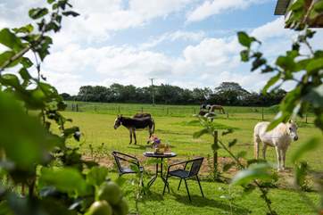 What an idyllic outlook for a rural getaway.