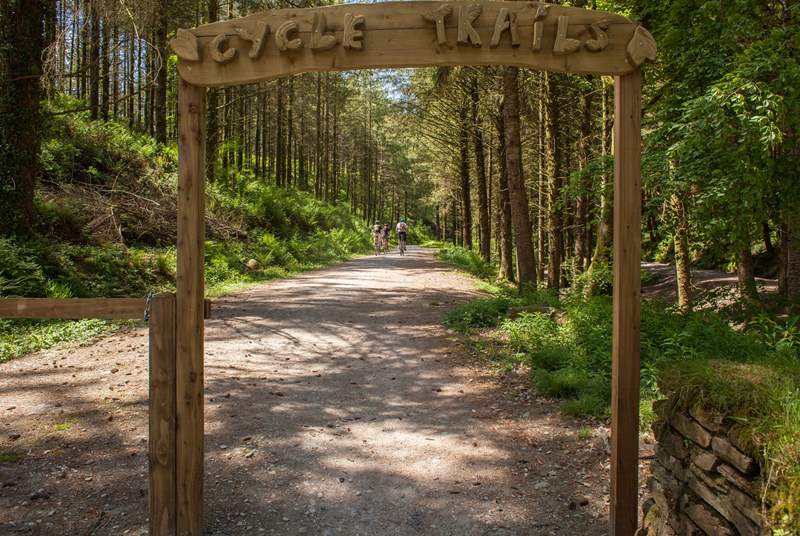 Cardinham Woods is literally just down the road and has walking and cycling trails, a picnic and play area and a lovely cafe.