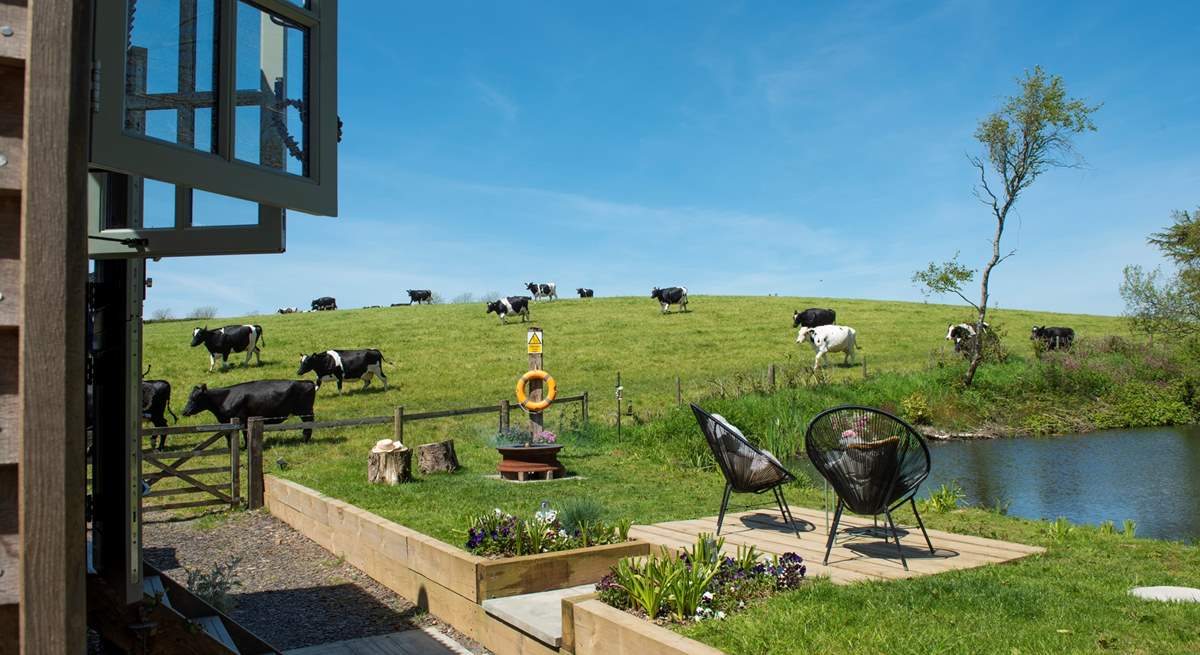 The only neighbours you need to worry about are the friendly cows. 