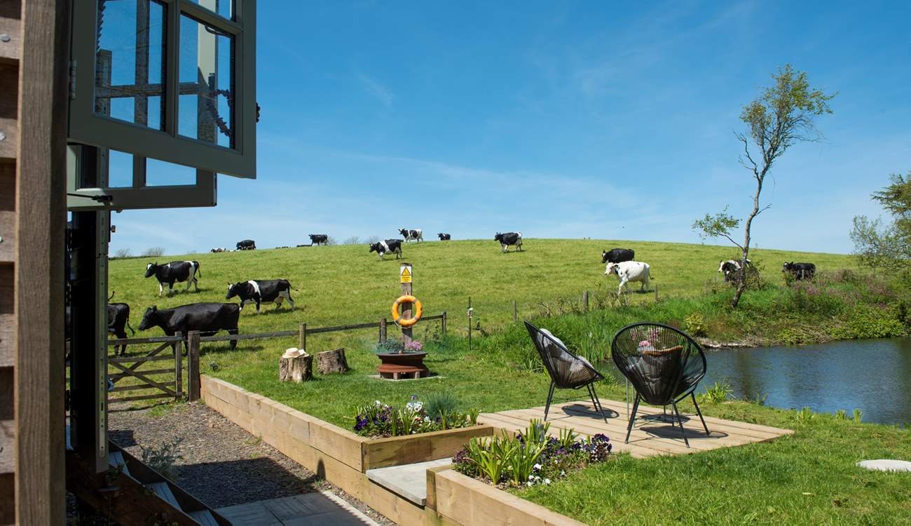 The only neighbours you need to worry about are the friendly cows. 