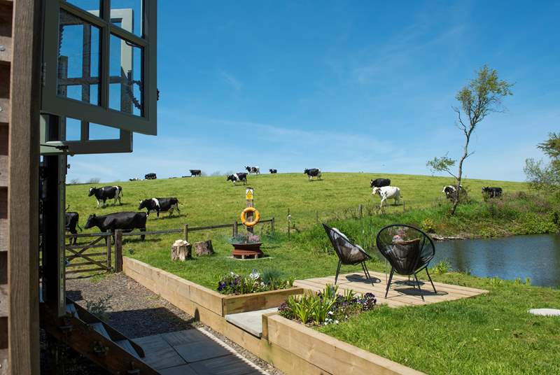 The only neighbours you need to worry about are the friendly cows. 