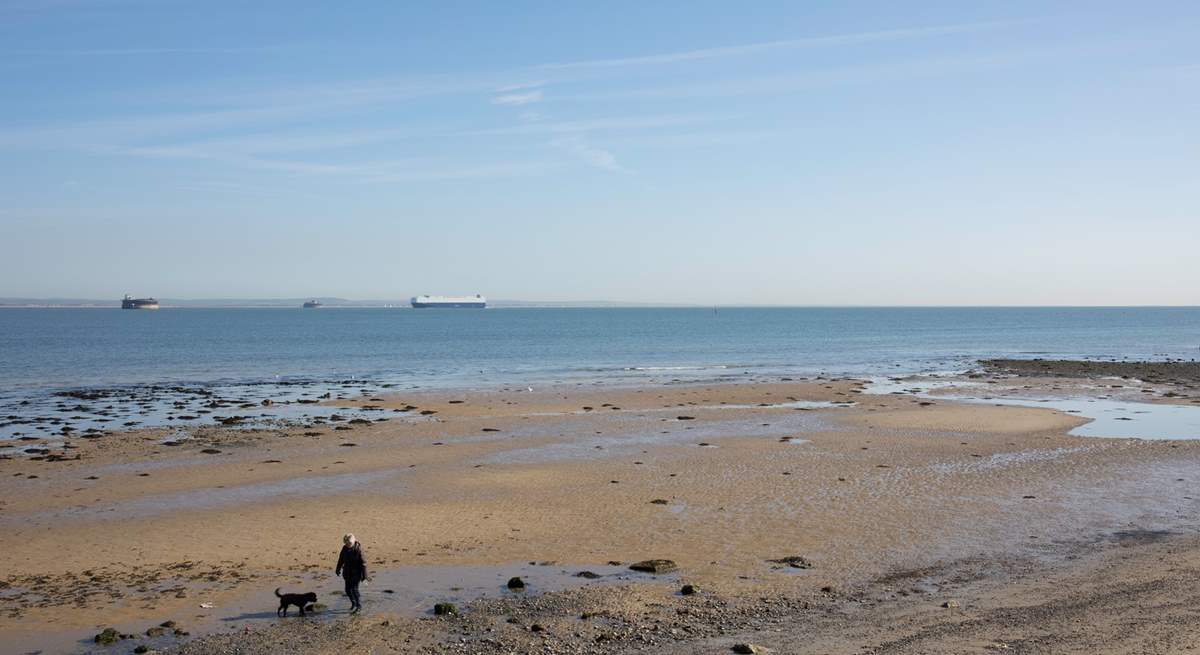 Dogs are permitted on Springvale beach