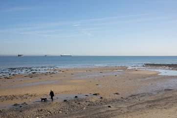 Dogs are permitted on Springvale beach
