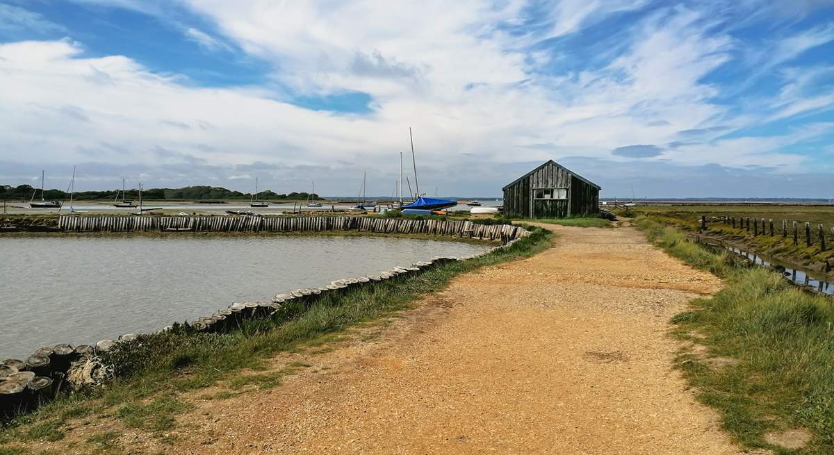 Newtown creek is a beautiful natural harbour, the perfect spot for a family walk and birdwatching.
