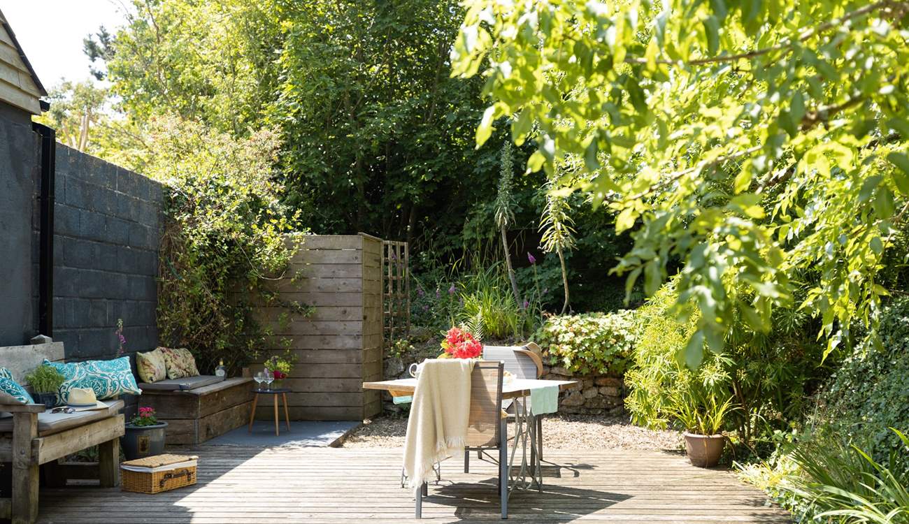 A thriving Sub-tropical garden to enjoy.