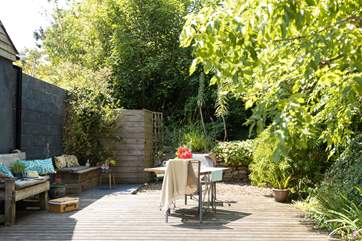 A thriving Sub-tropical garden to enjoy.