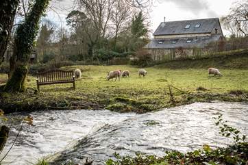 Looking back at The Bothy from across the brook and into the woodland. Many adventures await you.
