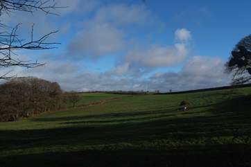 This is the view from the fully enclosed garden.