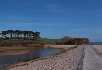 The far end of the beach at Budleigh Salterton, where the River Otter joins the sea. The river, banks and reed beds are wonderful places for nesting birds.