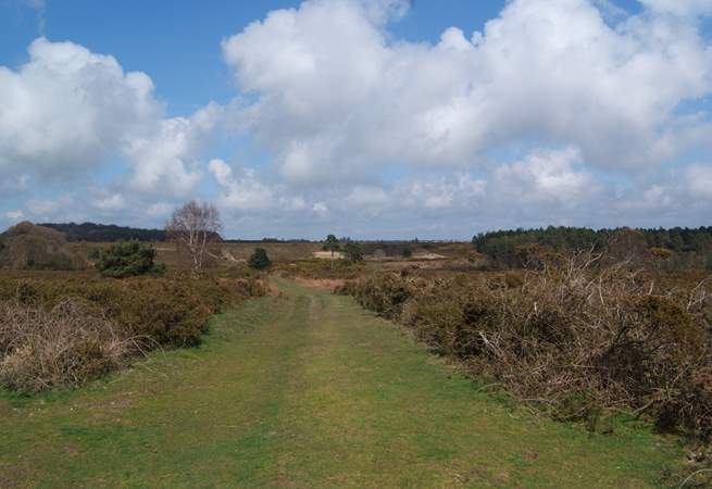 Nearby Woodbury Common, an area of unspoilt heathland, criss-crossed with miles of walks with the sea sparkling in the distance.