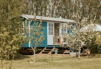 Nestled amongst blossom trees, this heavenly hut offers an enchanting stay. 