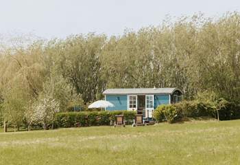 The meadow where the hut sits is one and a half acres and is solely yours to enjoy throughout your stay. 