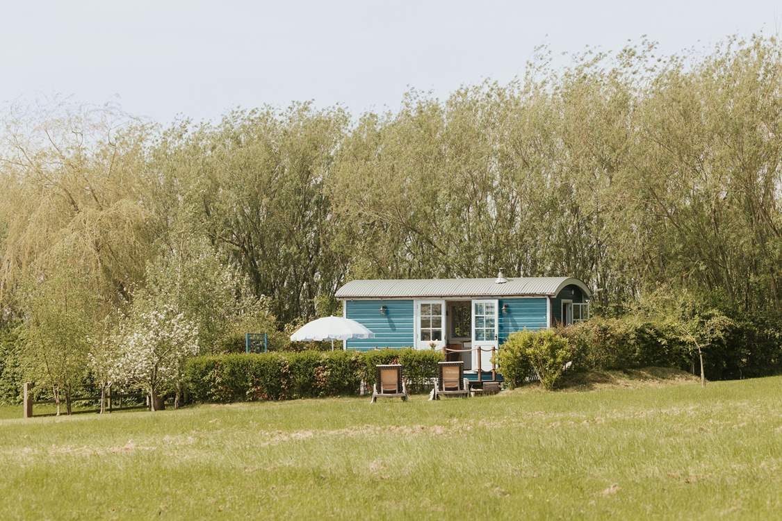 The meadow where the hut sits is one and a half acres and is solely yours to enjoy throughout your stay.