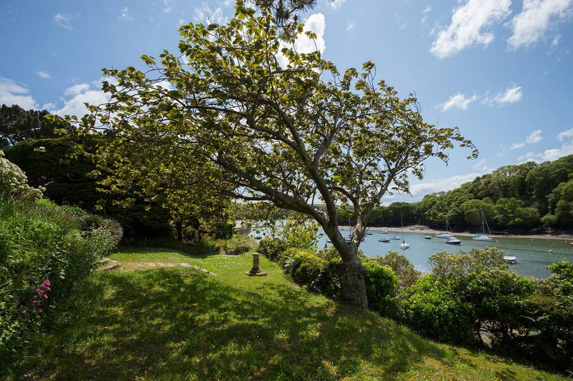 Children will love exploring the garden.