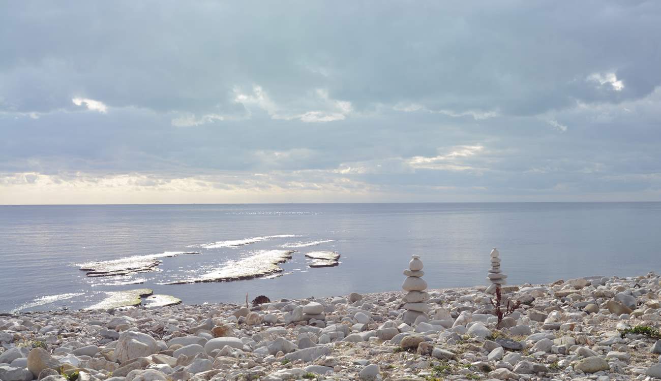 Monmouth beach in Lyme bay, where this ammonite pavement is exposed at low tide.