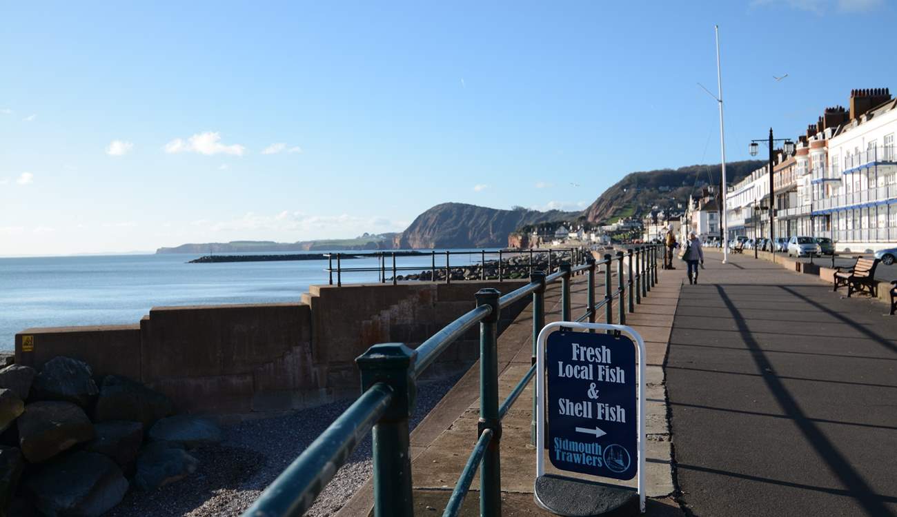 Regency Sidmouth is ideal for a relaxing stroll, or browse the independent shops and stop for refreshment.