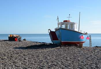 The beach at Beer, when fish are still landed and sold there in the wet fish shop on the beach.