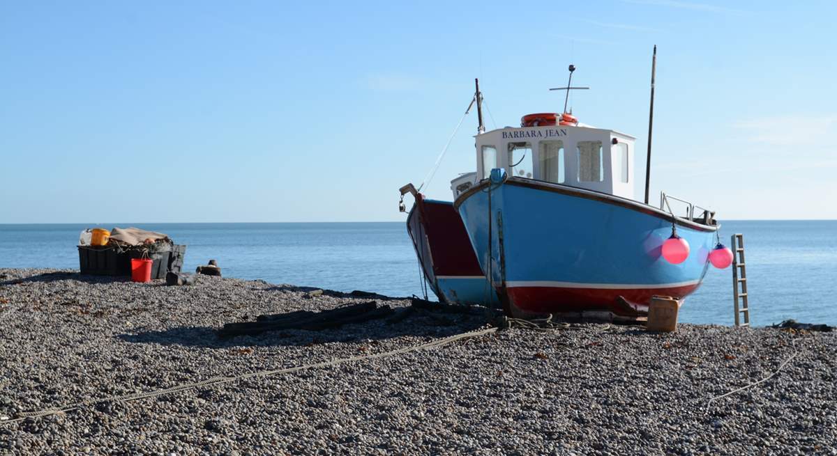 The beach at Beer, when fish are still landed and sold there in the wet fish shop on the beach.