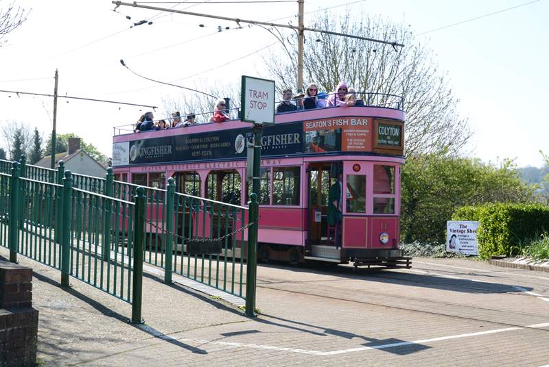 Seaton Tramway runs from the tram station in Seaton beside the river Axe estuary, through wetlands teeming with life to the historic village of Colyton.