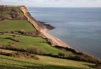 Nearby Salcombe Regis has impressive cliffs.