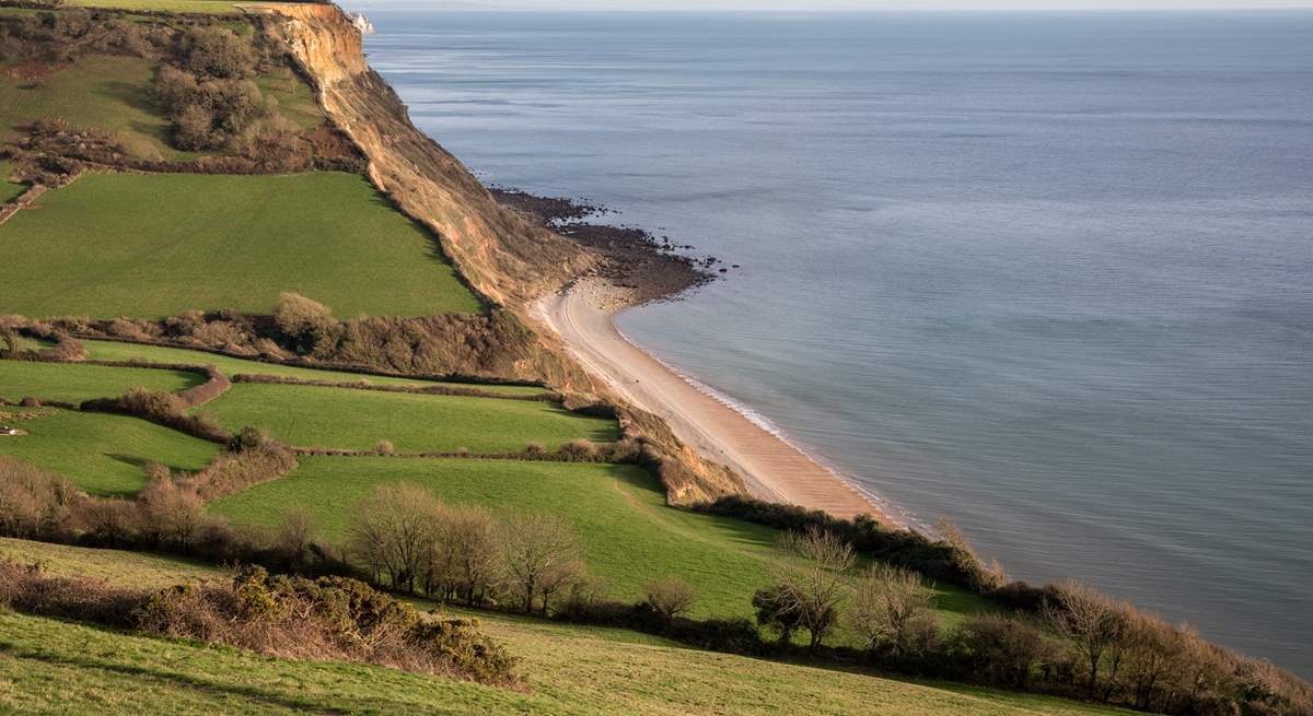 Nearby Salcombe Regis has impressive cliffs.