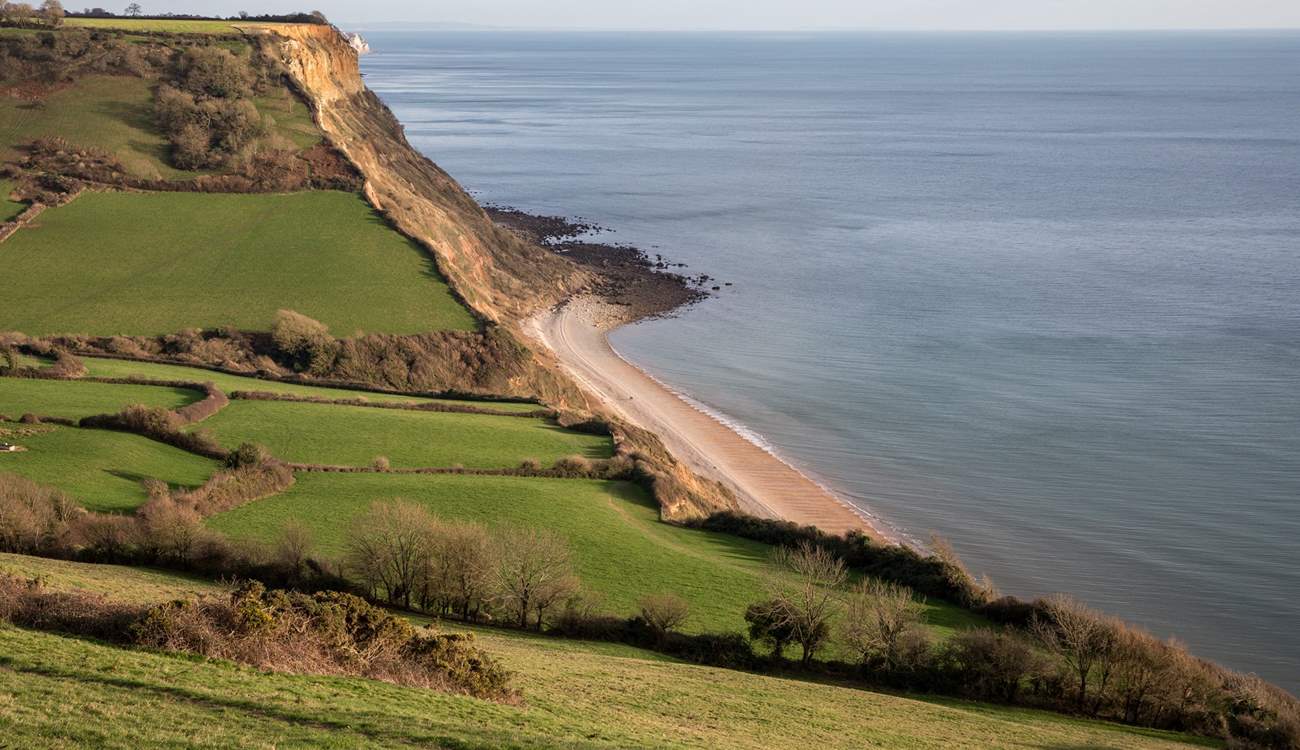 Nearby Salcombe Regis has impressive cliffs.