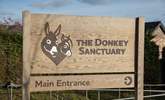 The Donkey Sanctuary at nearby Salcombe Regis has free admission and is home to hundreds of rescued Donkeys and Mules. - Thumbnail Image