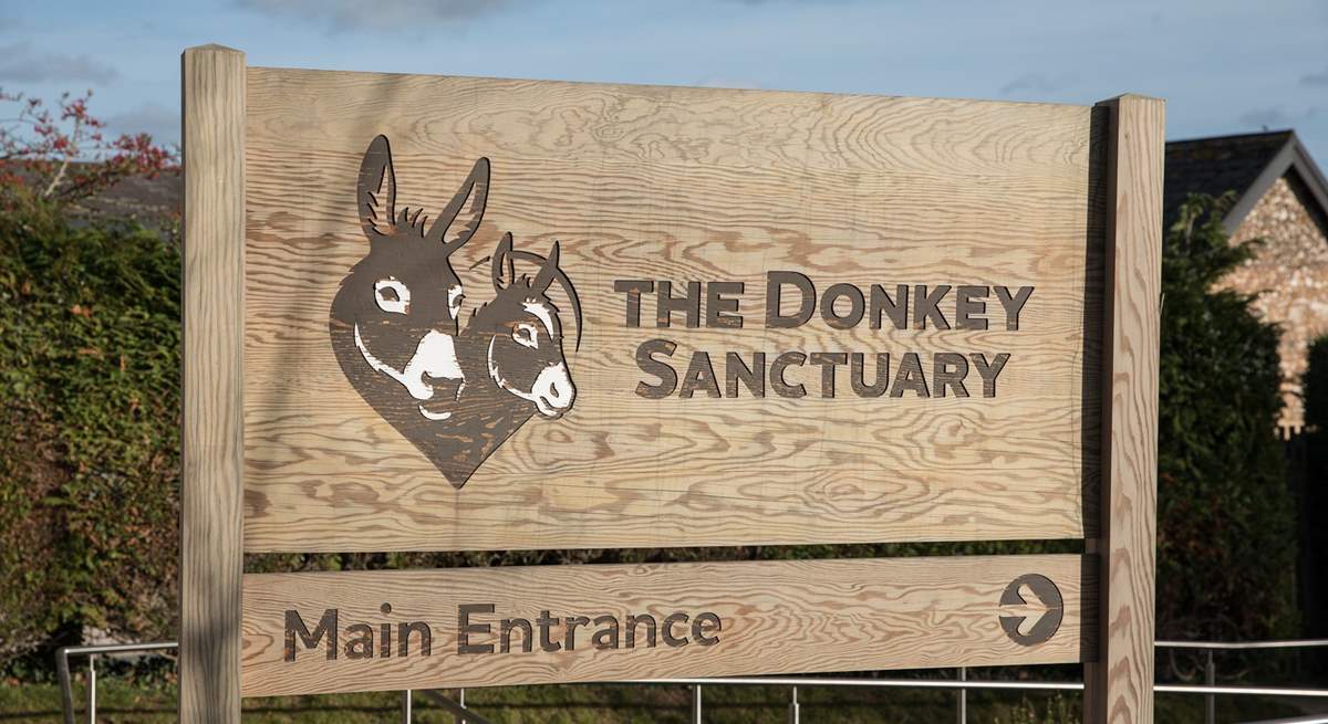 The Donkey Sanctuary at nearby Salcombe Regis has free admission and is home to hundreds of rescued Donkeys and Mules.