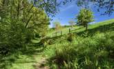 One of many footpaths leading directly from the grounds of Larch Barn. - Thumbnail Image