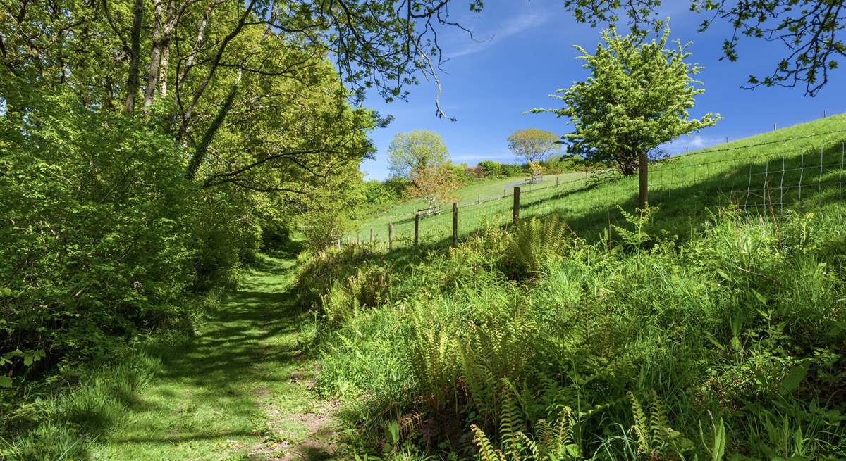 One of many footpaths leading directly from the grounds of Larch Barn.