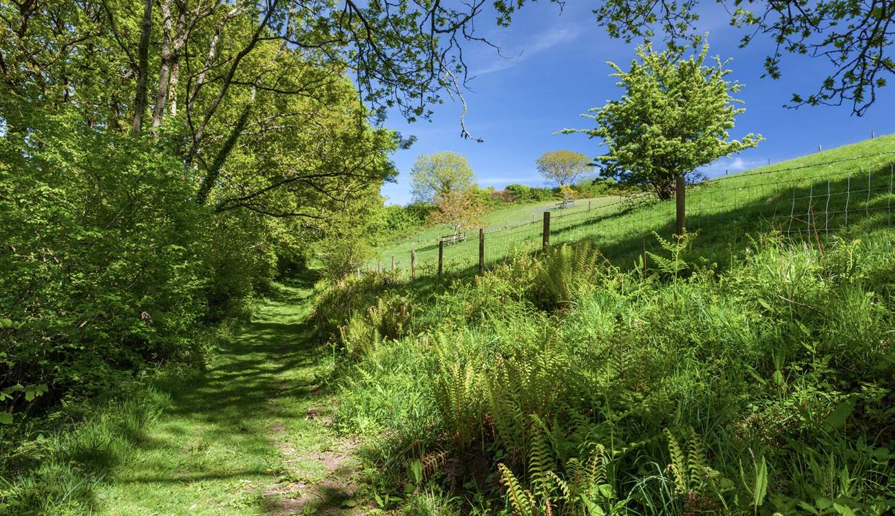 One of many footpaths leading directly from the grounds of Larch Barn.