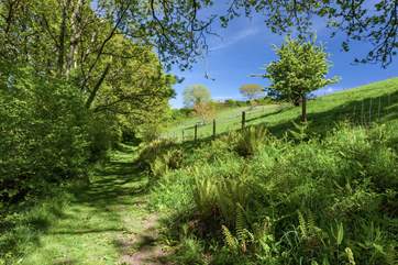 One of many footpaths leading directly from the grounds of Larch Barn.