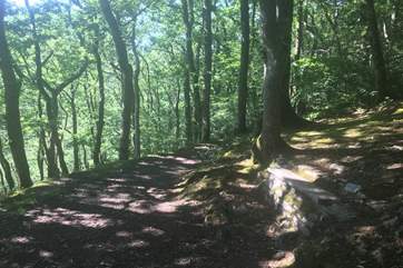 There are lovely walks right on your doorstep.