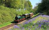 Steam train lovers will enjoy the Bluebell railway. - Thumbnail Image