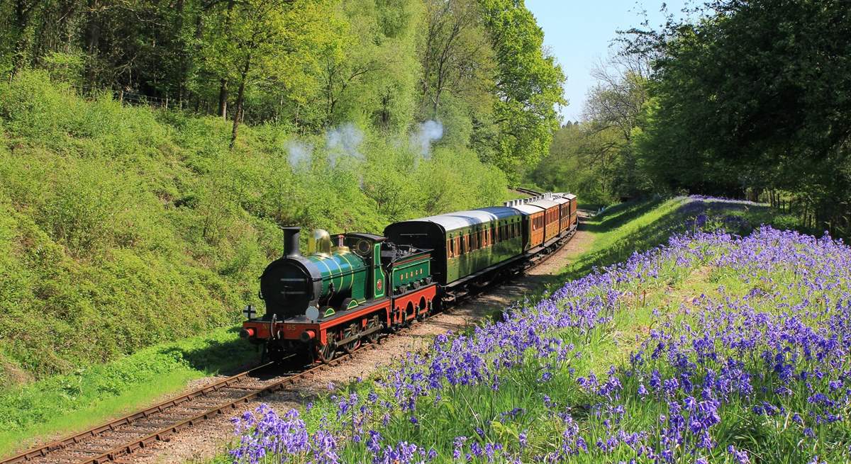 Steam train lovers will enjoy the Bluebell railway.