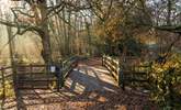 Explore Winnie the Pooh country, in the beautiful Ashdown Forest. - Thumbnail Image