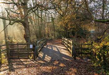 Explore Winnie the Pooh country, in the beautiful Ashdown Forest.