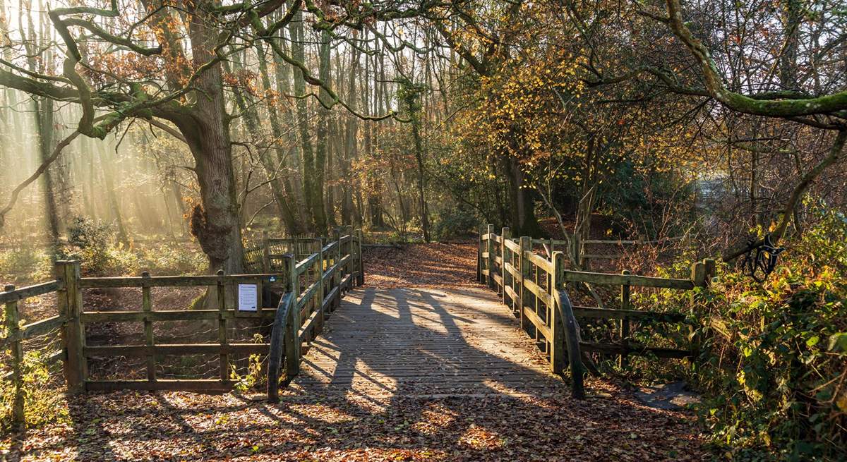 Explore Winnie the Pooh country, in the beautiful Ashdown Forest.