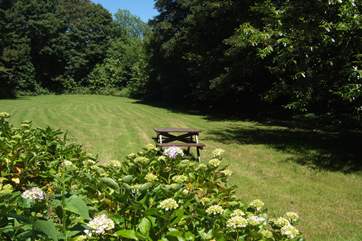 Your huge garden.