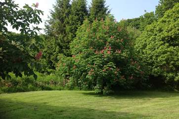 The view out across the owner's gardens which are glorious all year round.
