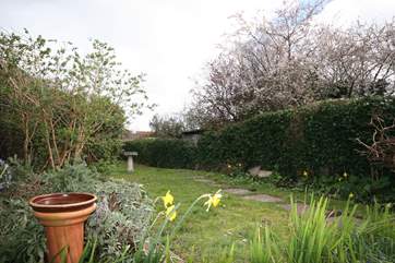 The enclosed garden is a pretty place to enjoy the Island sunshine and has a decked area with table and chairs