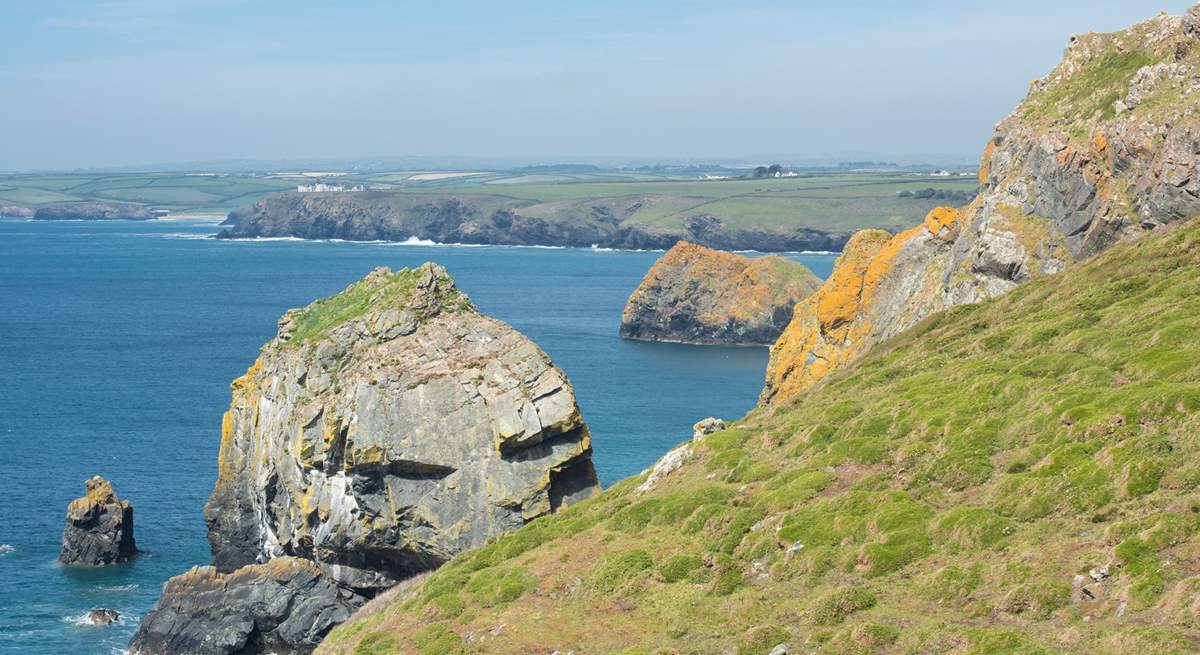 The dramatic coastline.